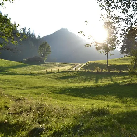 Ferienstadl - Hammerau 公寓