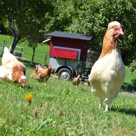 Ferienstadl - Hammerau