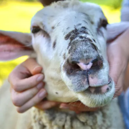 公寓 Ferienstadl - Hammerau