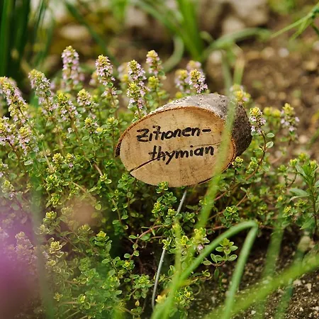 Ferienstadl - Hammerau Apartment