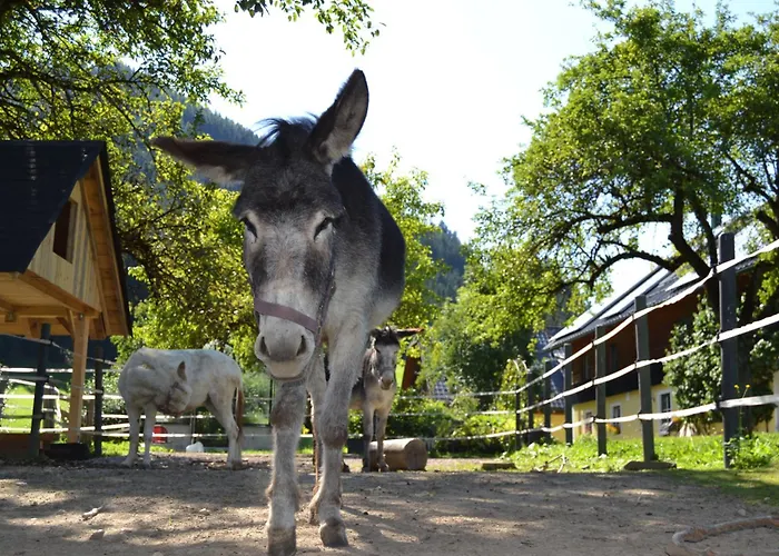 Ferienstadl - Hammerau Apartmán *