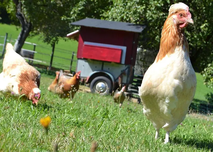 Ferienstadl - Hammerau