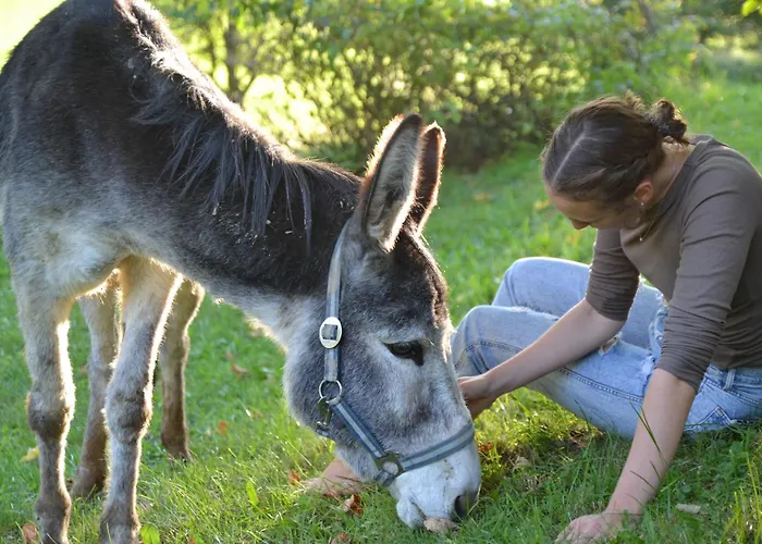 Ferienstadl - Hammerau Apartmán *