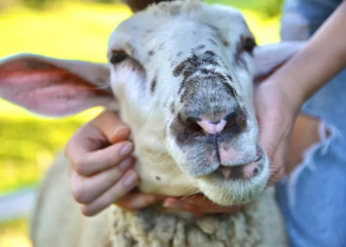 Lejlighed Ferienstadl - Hammerau