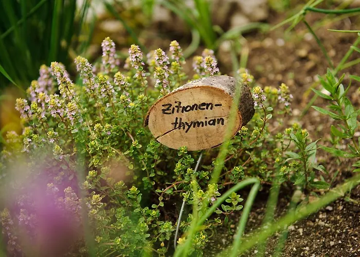 Ferienstadl - Hammerau Lejlighed